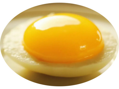 Œuf Parfait