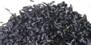Du wakame, algue marine, séchée 