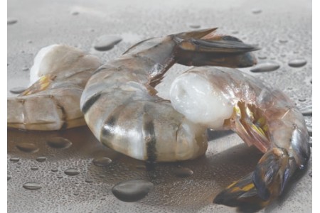 Crevettes black tiger avec leur carapace tigrée